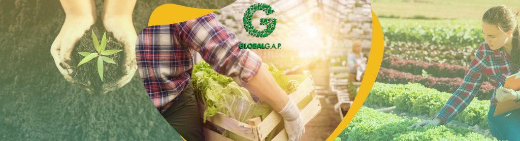 GLOBALGAP Gıda Çiftlik Güvence Programı