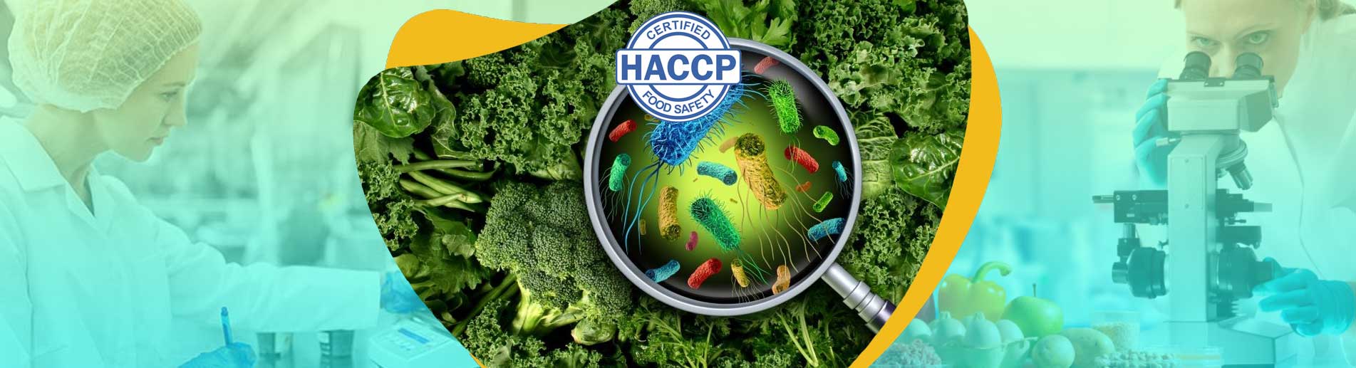 HACCP BELGESİ Gıda Kodeksi Komisyon Standart