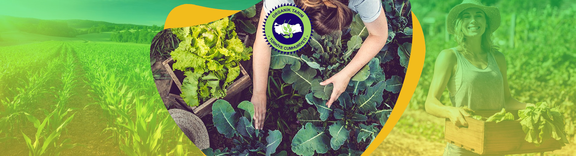 Ekolojik Tarım Belgesi Organik Tarım Ürün Sertifikası