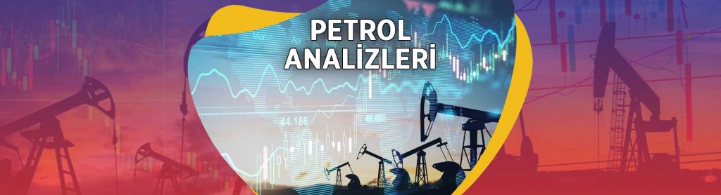 PETROL TESTLERİ Hammadde Analiz